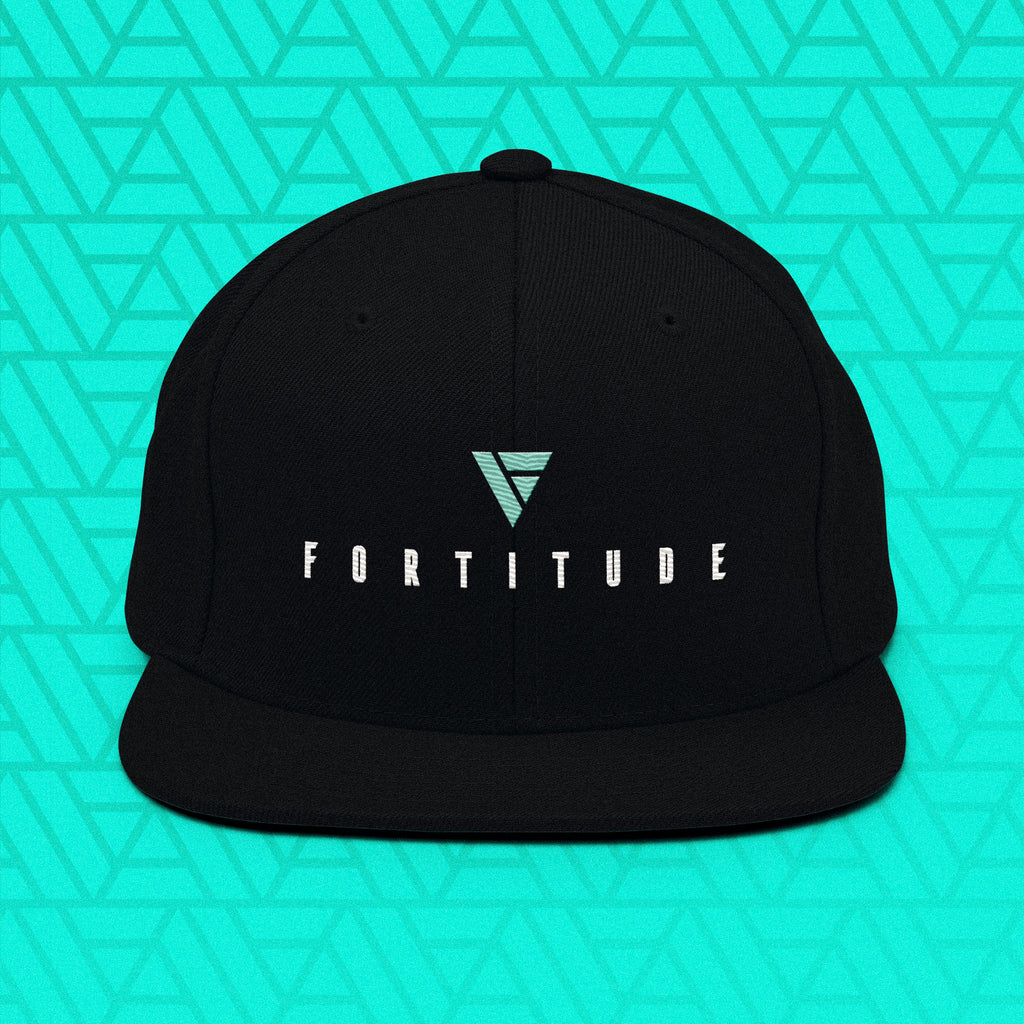 Snapback Dark – Embroidered