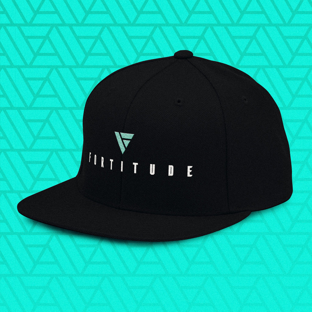 Snapback Dark – Embroidered