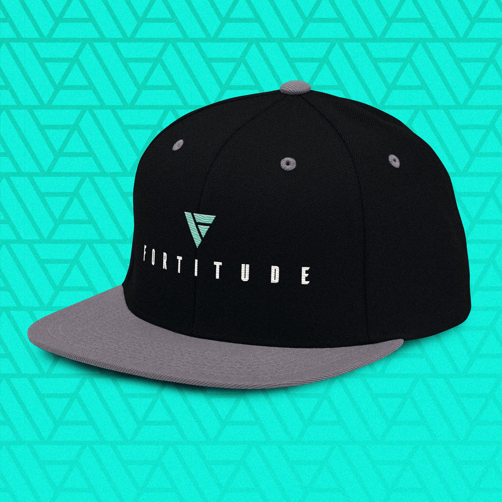 Snapback Dark – Embroidered